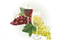 polska gazeta w Australii, Express Australijski